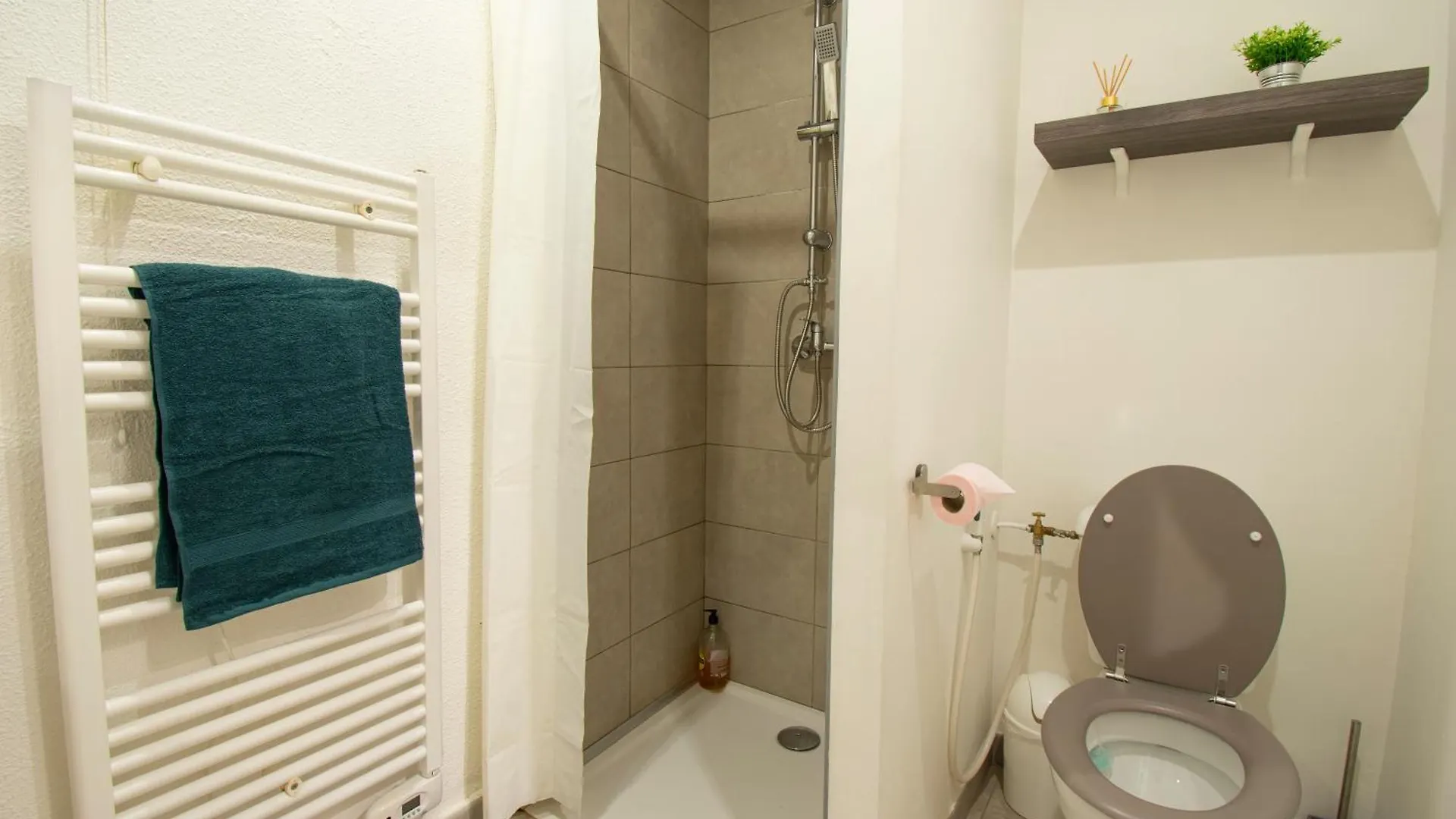 Apartment Studio Le Jimmys Rez De Chaussee Beaurepaire  France